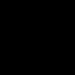 Meet your Posher, Noe